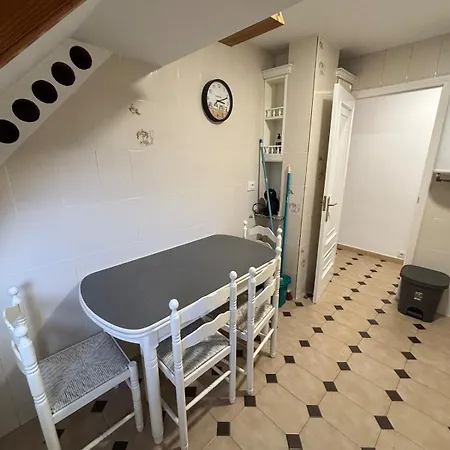 16 * リバダビア