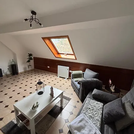 16 * リバダビア